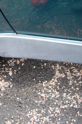 helma.jpg (115.31 KiB) Katsottu 4586 kertaa helma.jpg